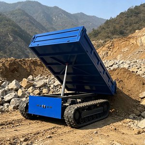 Veicolo Agricolo Autonomo, Carriola Elettrica, Mini Dumper, Piccolo Dumper Cingolato, Piccolo Trasportatore Semovente - Product Image 3