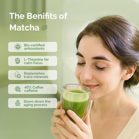 Poudre de Matcha de Qualité Cérémonielle OEM ODM Marque Privée 30g 50g 100g en Boîte, Sachet, Carton, Emballage en Vrac, Vente en Gros de Matcha