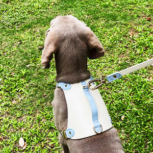 Arnés de viaje personalizado para mascotas, juego de arnés de senderismo, arnés y collar ajustable para perros con correa iluminada adornada con cintas - Product Image 5