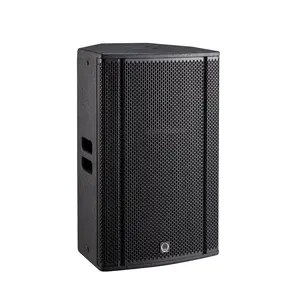 15 Inch 2-way Professional Loudspeaker Active/passive 15 Inch Stage Speaker