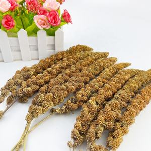 Spray de <span class=keywords><strong>millet</strong></span> jaune pour l'alimentation des <span class=keywords><strong>oiseaux</strong></span> 10-12 pouces 6-8 pouces, carton de 15kg - Product Image 2