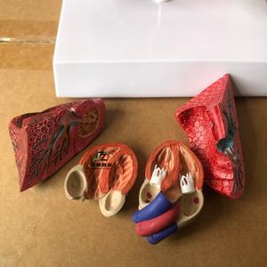 แบบจำลองกายวิภาคปอดส่วนล่าง แบบจำลองการสอนทางการแพทย์ ผลิตโดยผู้ผลิตแบบจำลองทางกายวิภาค - Product Image 5