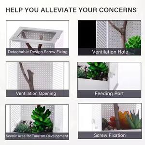 Caja de alimentación de cría de acrílico transparente para pequeños reptiles insectos <span class=keywords><strong>Mantis</strong></span> arañas tarántula terrario jaula característica transpirable - Product Image 4