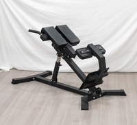 Vente chaude force Fitness équipement banc romain dos Extension formateur