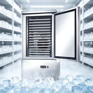 Congelador Portátil Pequeño Tipo Arcón, <span class=keywords><strong>Mini</strong></span> Congelador Rápido -45-0C, Ahorro de Energía, 5 Bandejas, Listo para Usar, para Cafetería, Panadería - Product Image 1