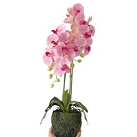 Plante d'orchidée Phalaenopsis artificielle en pot, arrangement floral en soie, fleur décorative rose imperméable pour la maison et le bureau