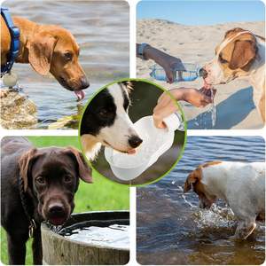 Botella de agua para perros Superdesign de 7.76 pulgadas, blanca, a prueba de fugas, portátil, con correa para viaje - Product Image 6