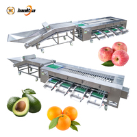 Commerciële maïs-, ui- en aardappelroller sorteermachine, hoge efficiëntie, automatische sorteerapparatuur voor voedsel, groenten en fruit