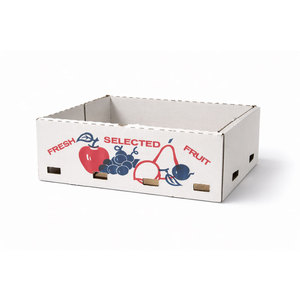 Bandeja Ventilada de Papelão Ondulado para Transporte de Frutas Frescas em Cadeia de Frio - Embalagem Industrial - Product Image 2