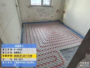 Hiện đại nhựa nước nóng sàn rạng rỡ đa dạng hệ thống sưởi ấm Sản phẩm mới ra mắt 220V Điện áp độc quyền cho nước linh hoạt - Product Image 5