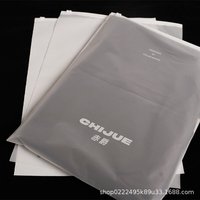 Sacs d'emballage en plastique refermables avec fermeture éclair, en PE mat givré, imperméables, avec logo personnalisé, pour vêtements, t-shirts, chaussures, vente en gros