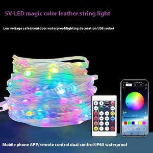 Led dây da đèn cho Bluetooth âm nhạc Ngựa chạy nước ma thuật ba-dây điểm điều khiển thông minh dải đèn 5m giáng sinh - Product Image 4