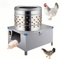 Machine à épiler les plumes de volaille automatique haute performance en acier inoxydable de 20 pouces pour poulets