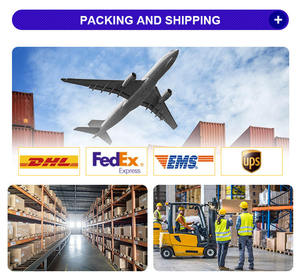 วัตถุดิบโปรไบโอติกส์ชนิดผง บิฟิโดแบคทีเรียม ลองัม CCFM760 แบบไมโครเอนแคปซูล 100 พันล้าน CFU/กรัม - Product Image 6