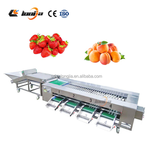 Kiwi Potato Zucchini Tomato Onion <strong>Size</strong> Sorting Grading Machine Nuts Fruits Strawberry Saint <strong>Fruit</strong> Passion <strong>Fruit</strong> <strong>Sorter</strong> - Product Image 4