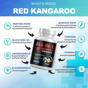 Complément Herbal Tout-en-un en Gros : Capsules de Mousse de Mer et Ashwagandha pour l'Énergie, le Système Immunitaire et la Santé Digestive – Mélange Multiminéral - Product Image 5