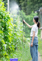 Lance de pulvérisation télescopique électrique portable avec tuyau en plastique de 2 m, 5 m, 10 m pour l'arrosage des jardins, des fermes et des pelouses