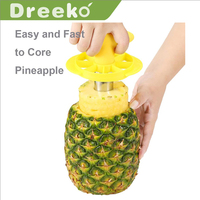 Eenvoudig Keukengereedschap Roestvrijstalen Fruit Ananas Dunschiller Corer Snijder
