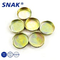 SNAK bouchon d'eau de gel personnalisé moteur eau acier cuivre bouchon moteur bouchons de gel 24MM bouchon de gel de fer en laiton