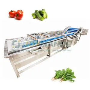 Automatic Vegetable Washing And Cutting Line Vegetable Production Line Tomato Cucumber Washer Machine