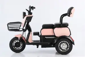 Erstklassige zuverlässige Qualität Behinderte Transporter Elektro Dreirad für Erwachsene