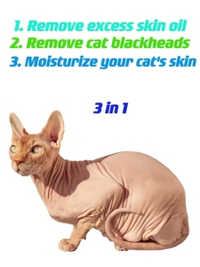 Label privé shampooing pour animaux de compagnie toilettage <span class=keywords><strong>anti</strong></span>-démangeaisons chat dégraisser shampooing enlevé chat points noirs cheveux lisse bio shampooing pour animaux de compagnie - Product Image 4