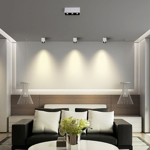 New LED Trần Lưới Tản Nhiệt Đèn Lịch Thi Đấu Đơn Đôi Và Ba Đầu 12W 30W MR16 AR111 - Product Image 6