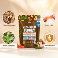 Gummies en gros de champignons Reishi, Crinière de lion et Cordyceps à marque privée pour la défense immunitaire
