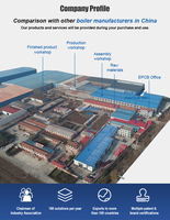 Chaudière à vapeur industrielle horizontale automatique à biomasse à granulés de bois pour la pasteurisation du lait