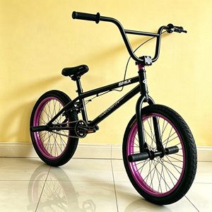 20 英寸 <span class=keywords><strong>BMX</strong></span> 自行车自由式运动赛车自行车 自由式 <span class=keywords><strong>BMX</strong></span> 儿童自行车 适合男孩女孩 现货 - Product Image 4