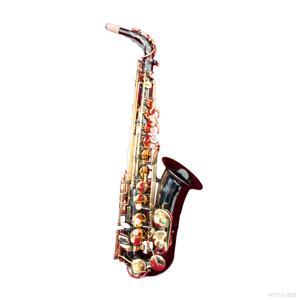 Saxophone alto Eastern Music Eb, corps en laiton laqué noir et or, gravé à la main, pour étudiants débutants, avec étui - Product Image 2