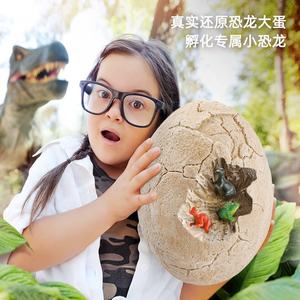 Juguete de Descubrimiento de Dinosaurios, Excavación Arqueológica, Set de Huevos con Fósiles y Esqueletos de Dinosaurios, con 12 Dinosaurios y Herramientas de Excavación - Product Image 5
