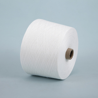 100% Polyester 30S Siro Spun Compact Yarn Wholesale Good Quality and Good Price for Knit or Weave