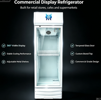 Équipement de réfrigération, armoire vitrée verticale, réfrigérateur à boissons écoénergétique, refroidissement par compression
