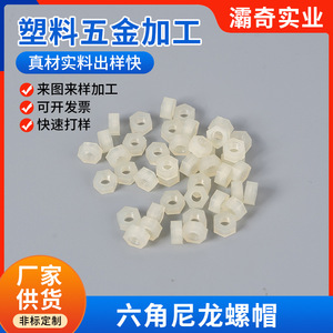 Baqi Hexagonal Nylon Nuts M3 M4 M5 M6 Self Colored Plastic <b>Fasteners</b> For Electronics And Machinery Parts - Product Image 2