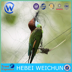 Cáñamo neto para la captura de aves/CLAP Net para captura de aves - Product Image 1