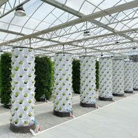 Système de culture hydroponique en tour pour ananas, tour de culture verticale pour la culture d'ananas, équipement d'agriculture sans sol commercial