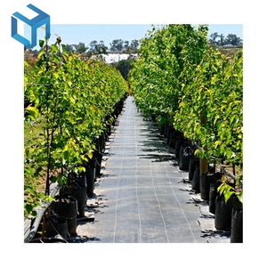 Tapis de mauvaises herbes tissé en tissu PP <span class=keywords><strong>pour</strong></span> paysage agricole <span class=keywords><strong>pour</strong></span> <span class=keywords><strong>fraisier</strong></span> - Product Image 6