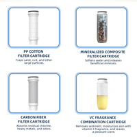 Pommeau de Douche Filtrant Portable Certifié CE, Économiseur d'Eau Haute Pression, avec Filtre à Vitamine C et Parfum Personnalisé