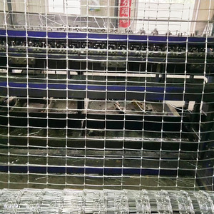 Clôture de joint de charnière d'élevage de moutons de prairie galvanisée à haute résistance/clôture de bétail de champ de noeud fixe - Product Image 3