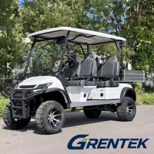 Chariot de golf utilitaire, véhicule de transport, mini-camion, chariot électrique de manutention, châssis en acier, autonomie 70-90 km, autonome - Product Image 1