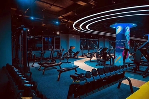 Precio de equipo de gimnasio Máquina de fitness profesional Entrenador de músculos abdominales totales Ejercicios Máquina abdominal de mentira de Kraft puro - Product Image 3