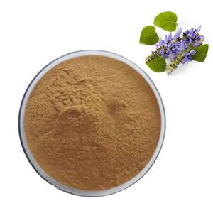 100% saf doğal <span class=keywords><strong>Coleus</strong></span> <span class=keywords><strong>Forskohlii</strong></span> özü 10% Forskolin tozu - Product Image 1