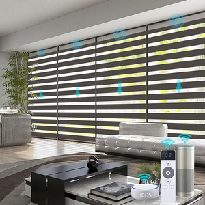 French <strong>Window</strong> Motorized Zebra <strong>Shades</strong> Tuya Wifi Alexa Zigbee Double <strong>Window</strong> Blinds Electric Motorized Zebra Blinds for <strong>Window</strong> - Product Image 1