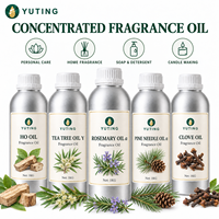 Huile aromatique, collection de cinq parfums, 1 kg, pour diffuseur, parfum, bougie, savon, huile parfumée concentrée, approvisionnement en vrac B2B