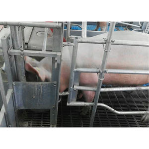 Plancher avec une durée de vie de plus de 15 ans Facile à installer Sol en fonte pour porcheries - Product Image 6