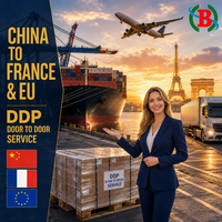Agent d'expédition DDP, fournisseur d'agent d'expédition, services de livraison de la Chine vers la France et l'Europe, livraison porte-à-porte par camionnage