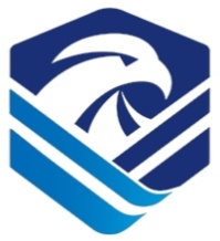 Shenyang Lanying Colored Steel Co., Ltd. logo