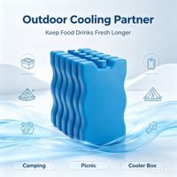 Glacière en forme de vague, pack de glace réutilisable pour glacière, pour le refroidissement des aliments et des boissons lors de pique-niques et de camping en extérieur