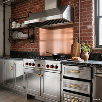 BAINENG Meuble de cuisine extérieur en acier inoxydable 304 au design minimaliste moderne pour îlot de barbecue et comptoir de cuisson